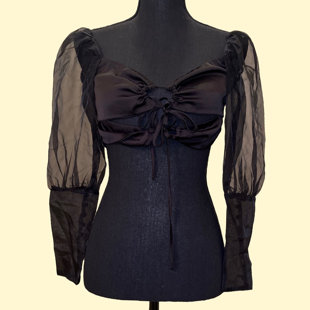 Dolls Kill / Serpenti Puff Sleeve Organza Crop Top Summer Blouse